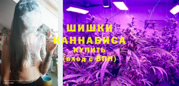 дмт Краснослободск