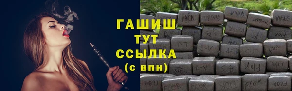 дмт Краснослободск