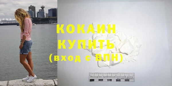 дмт Краснослободск