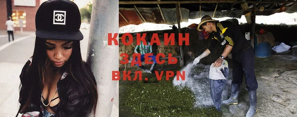 дмт Краснослободск