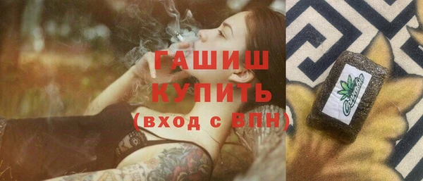 дмт Краснослободск